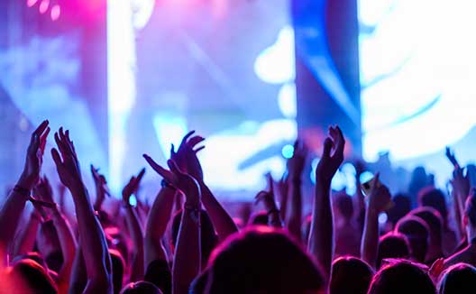 View of crowd at a concert